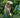 Big Dog Breeds: The Ultimate Guide to Large Dogs & Their Care