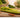 Can Dogs Eat Celery? Benefits, Risks &amp; Safe Feeding Tips