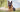 Alsatian Dog Guide: Origin, Care, and Diet Tips for Australian Owners