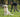 What’s in the Poo? Why Your Dog’s Stool Is the First Sign of Their Health