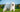 Samoyed Dog Guide: Grooming, Exercise, and Diet in Australia