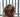 What Colors Can Dogs See? Understanding Your Pup's Vision