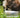 Pet Food Australia: What Australian Dog Owners Should Look For