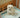 Dog Potty Training: A Step-by-Step Guide for Puppies and Dogs