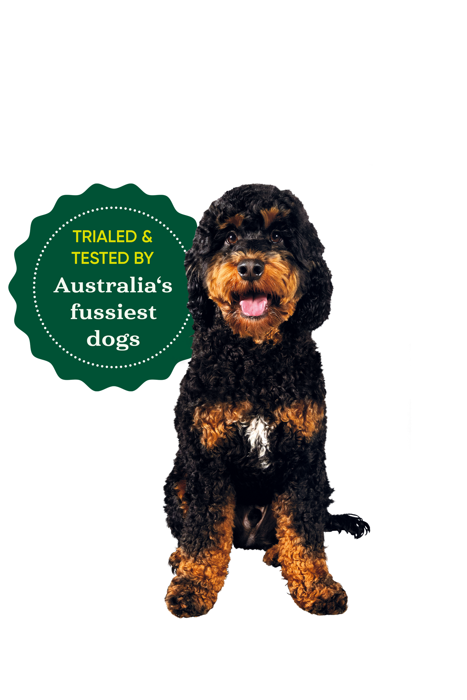 Dog with a badge that reads 'Trialed & Tested by Australia's fussiest dogs'