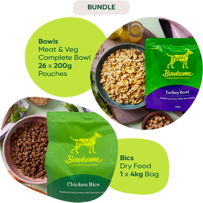 Bowls & Bics Bundle