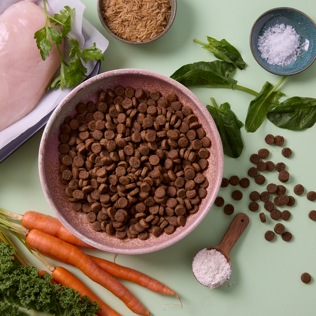 Chicken Bics Premium Dry Dog Food | Bowlsome